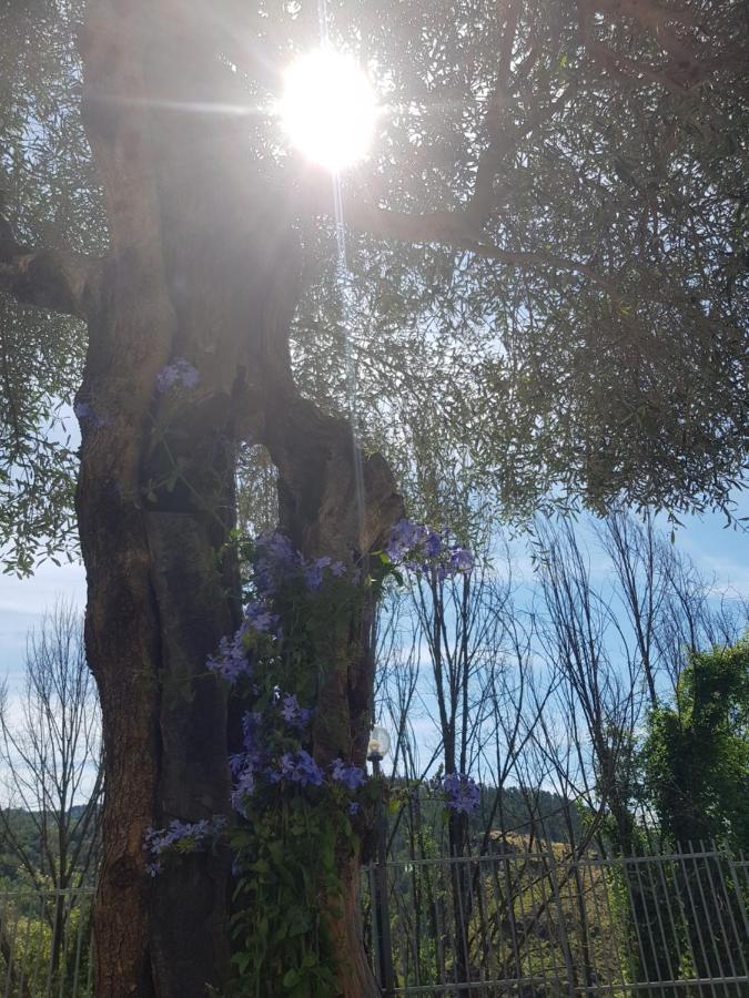 Casa Luigina Villa Vezzola Luaran gambar